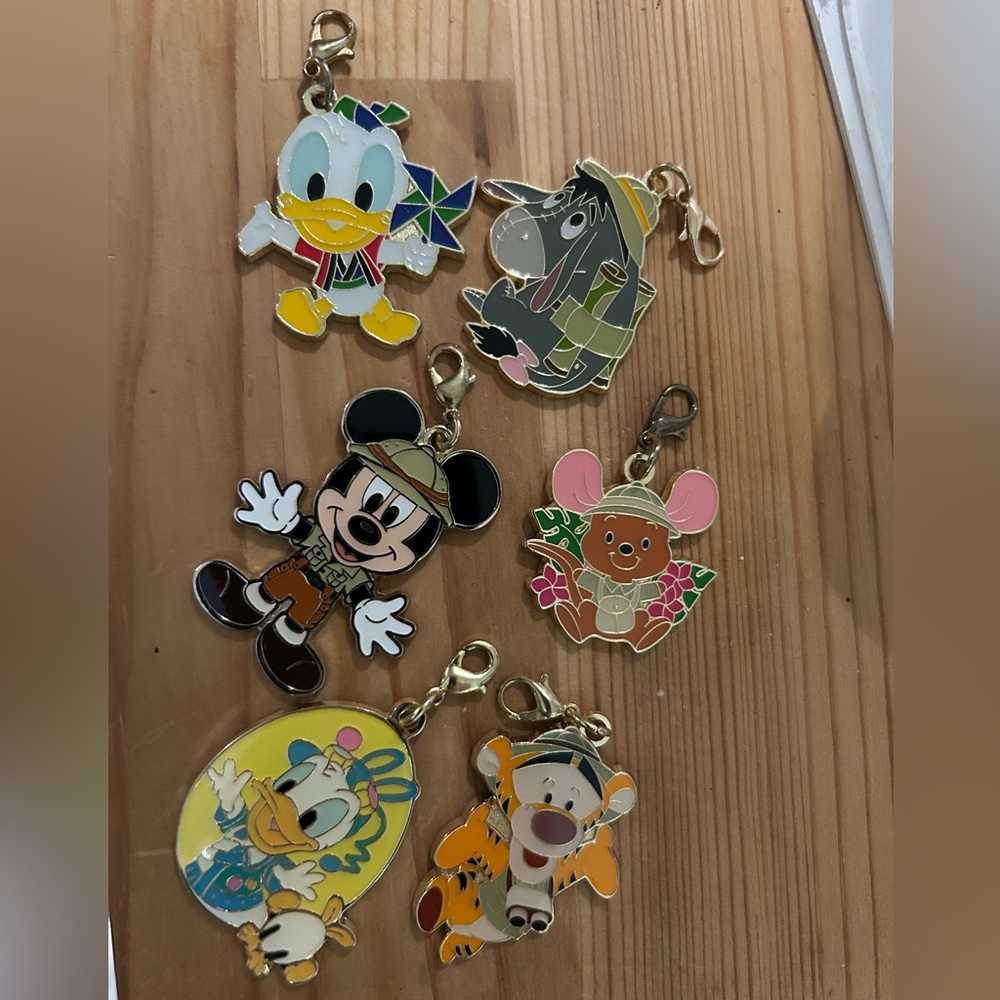 Disneyland adventure clasp charms